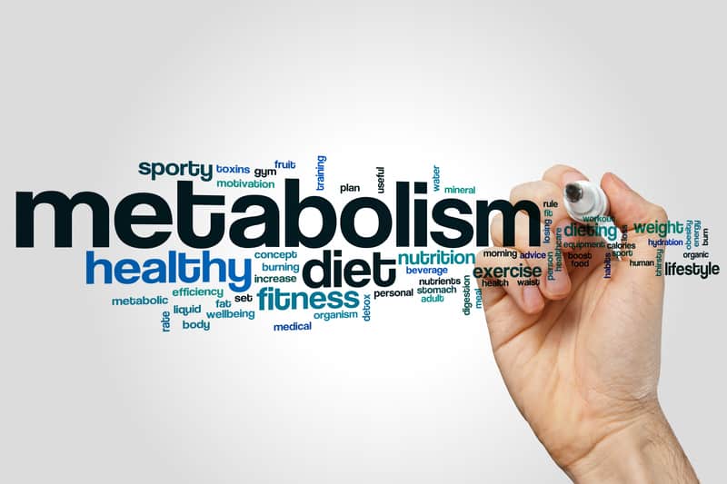 Metabolism