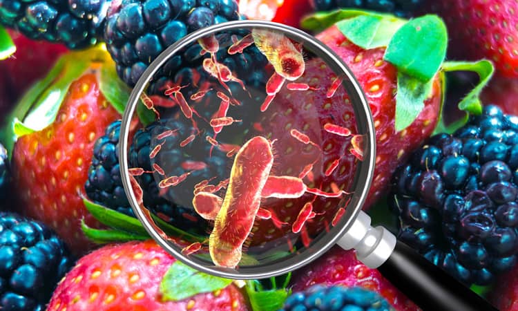 foodborne illness