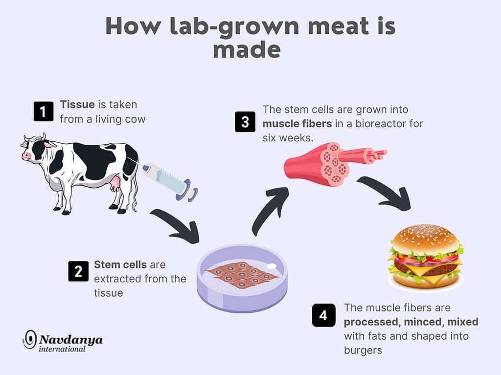 synthetic food